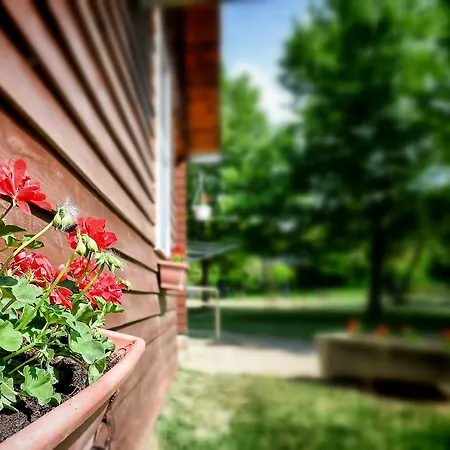 Гостевой дом Oliver